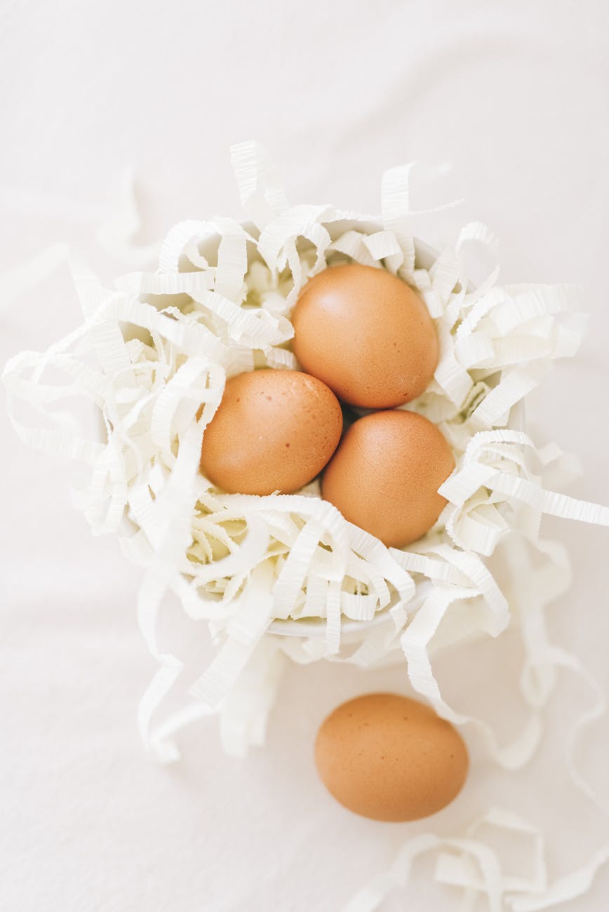 brown eggs on white cut out paper